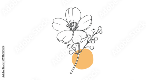 Elegant line art illustration of a delicate flower with berries, accented by a subtle abstract orange circle on a clean white background.
