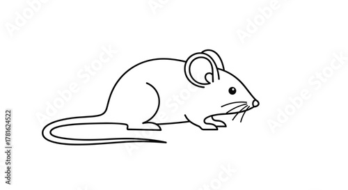 A simple black and white cartoon-style line drawing of a mouse standing in profile, illustrating a common rodent.