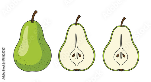 A detailed vector illustration depicting a whole green pear and two cross-sections showcasing the fruit's internal anatomy and seeds.