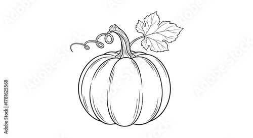 Simple black and white line art illustration of a pumpkin with a stem, tendril, and leaf, depicting the essence of autumn and harvest.