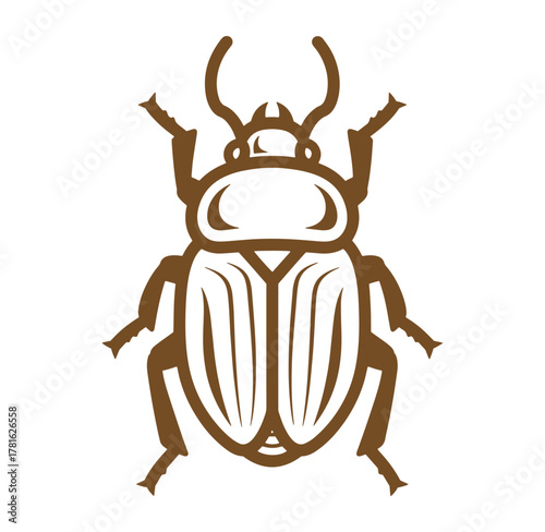 Vector illustration of a detailed brown beetle insect isolated on a white background