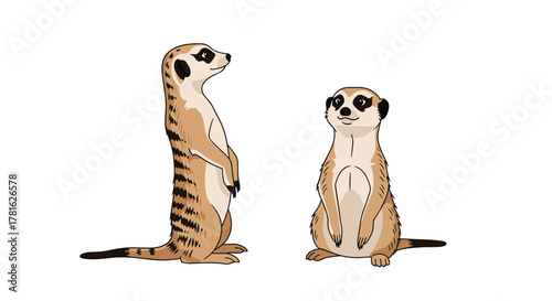 An illustration of two friendly meerkats, one standing alert and the other sitting calmly, against a simple white backdrop.
