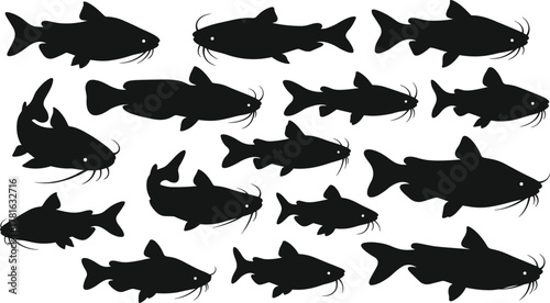 Catfish silhouettes underwater collection, freshwater aquatic animals, black fish icons, fishing design elements, marine wildlife illustration, vector art, nature background