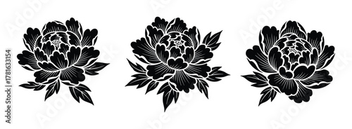 Set of decorative black and white peony flowers, isolated floral elements for design projects