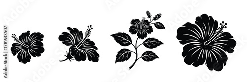 Set of four black hibiscus flowers in different styles and arrangements with leaves and buds