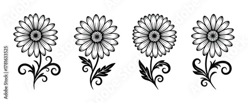 Set of four black and white daisy flowers with various ornamental leaves and stems