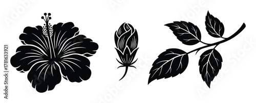 Set of hibiscus flower elements featuring a full bloom a closed bud and a leafy branch in silhouette
