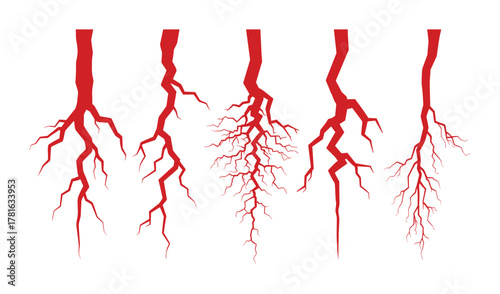 Set of human veins and arteries in red color flat design vector illustration on white background