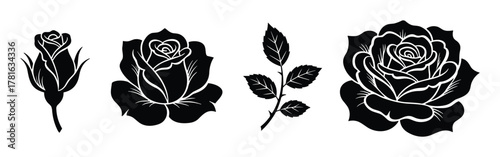 Set of rose flowers, bud, and branch, black and white botanical elements for design projects