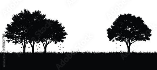 Silhouette of trees and falling leaves on a grassy field against a white background