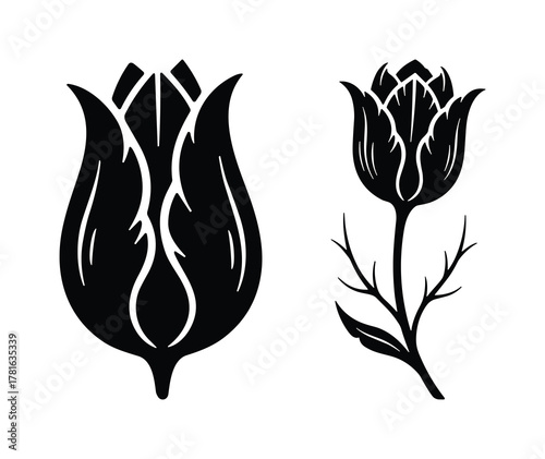Stylized set of two different tulip flower silhouettes with detailed petals and stems