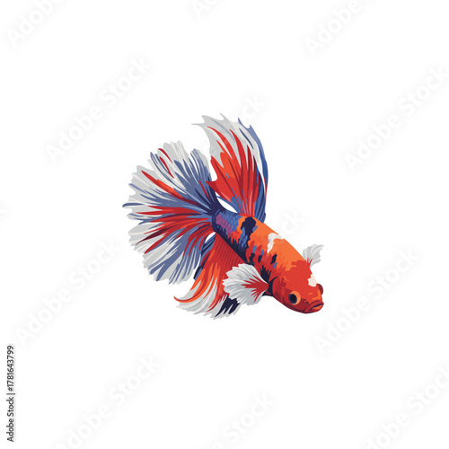 Vibrant Betta Fish with Flowing Fins.
