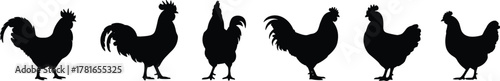 Chicken and rooster silhouettes, black poultry icons, farm bird graphics, feather shape variations, nature symbols, minimal design, vector animal set