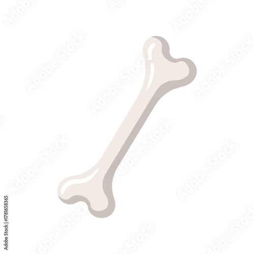 An isolated, stylized, cartoon-like illustration of a white bone on a plain background.