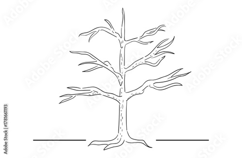 葉が無い枯れ木の手書き線画イラスト