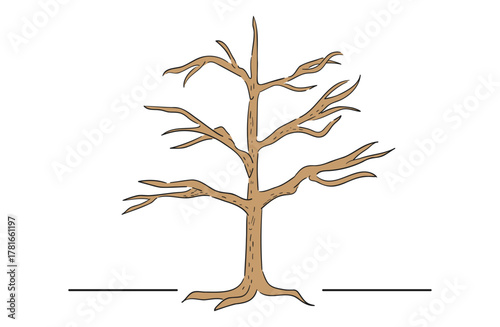 葉が無い枯れ木の手描きイラスト（カラー）