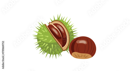 An illustration depicting a spiky green chestnut burr cracked open with two shiny brown chestnuts inside, alongside a single whole chestnut.