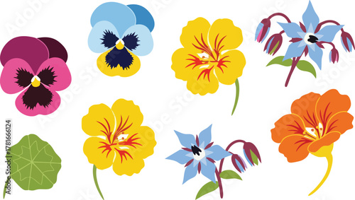 Collection of Colorful Pansy and Nasturtium Flowers with Borage Blossoms and Leaf Isolated on White Background Pixel Art Style