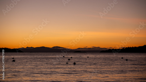 Golden Hour Serenity: Buoys Dotting the Calm Waters of a Bay, Beneath a Vibrant Orange and Pink Sunset Sky