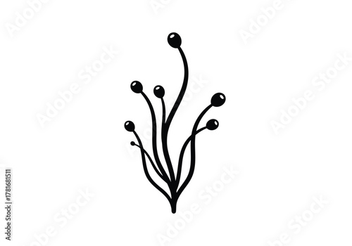 Abstract plant with berries vector simple drawing black silhouette natural decorative element