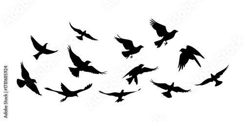 Silhouette of a flock of birds flying