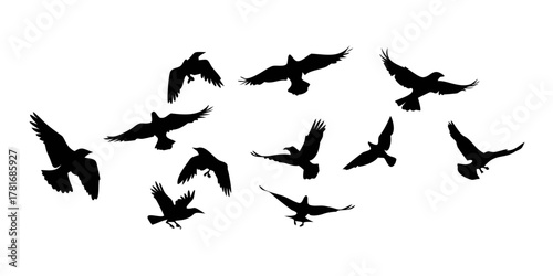 Silhouette of a flock of ravens flying