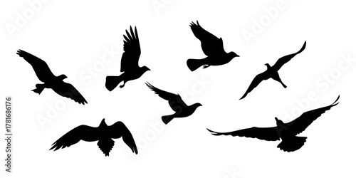Silhouette of a group of birds flying