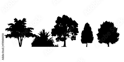 Tree silhouette for graphic design element