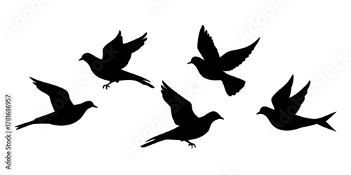 Silhouette of a flock of doves flying