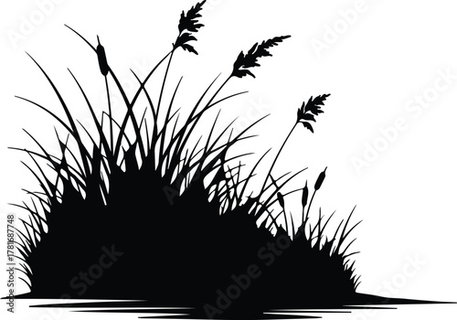 Illustrator reeds cattails grass silhouette design element vector