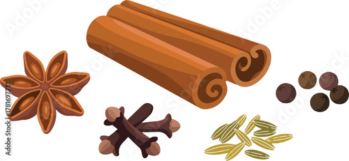 Collection of aromatic indian spices with cinnamon star anise and cloves isolated on transparent background vector illustration