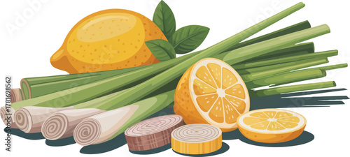 resh lemongrass stalks and lemon citrus fruit for aromatic cooking and herbal tea isolated vector illustration