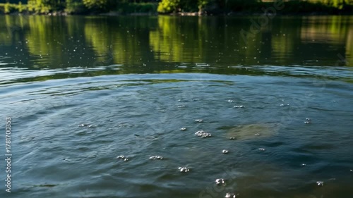 Water Ripples and Reflections on a Calm Lake Surface.