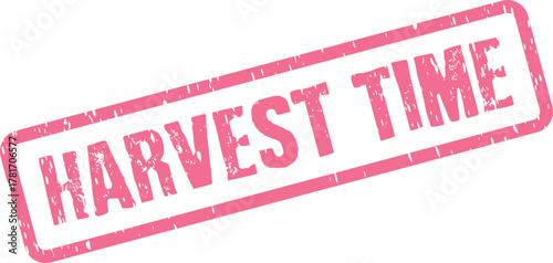 Rustic pink rubber stamp bearing the timely message Harvest Time for autumnal themed designs