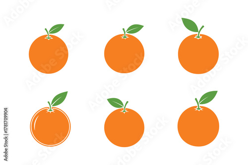 Orange fruits isolated on white background in different positions and style