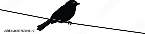 Silhouette of a bird perched on a wire against a white backdrop, isolated on white background a minimalist depiction of natures beauty