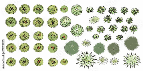 Collection of top view watercolor illustrations of various green trees and plants for architectural design
