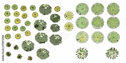 Collection of stylized top down view illustrations of various trees and bushes for architectural landscaping design