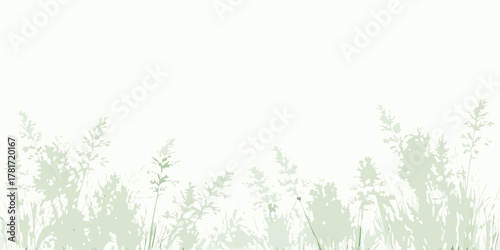 Soft focus silhouette of delicate green grass stalks and seed heads against a bright white background