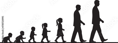 Life stages progression