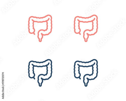 Large Intestine Icons Set - Human Digestive System Anatomy Line Art Illustration