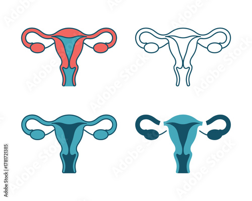 Female Reproductive System Icons Set - Uterus and Ovaries Illustrations