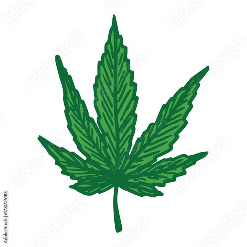 Hand drawn cannabis leaf Medicine marijuana Hemp leaves clipart in doodle style Single element for print, web, design, decor