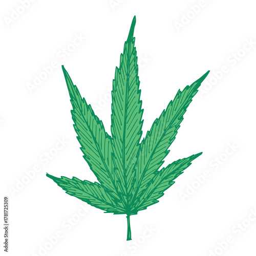 Hand drawn cannabis leaf Medicine marijuana Hemp leaves clipart in doodle style Single element for print, web, design, decor