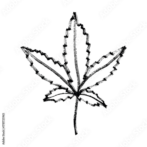 Hand drawn cannabis leaf Medicine marijuana Hemp leaves clipart in doodle style Single element for print, web, design, decor
