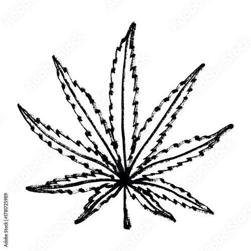 Hand drawn cannabis leaf Medicine marijuana Hemp leaves clipart in doodle style Single element for print, web, design, decor
