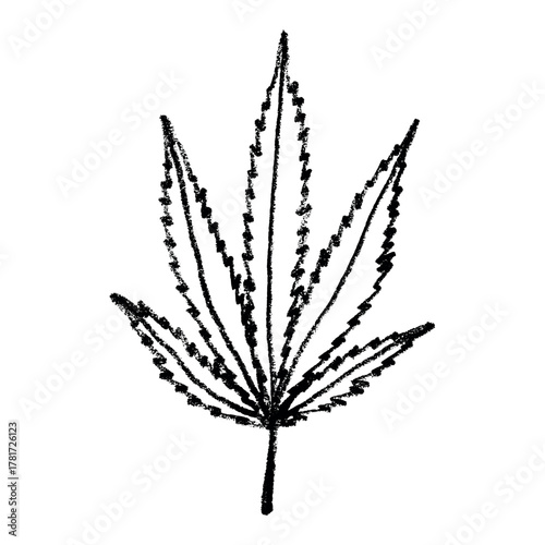 Hand drawn cannabis leaf Medicine marijuana Hemp leaves clipart in doodle style Single element for print, web, design, decor