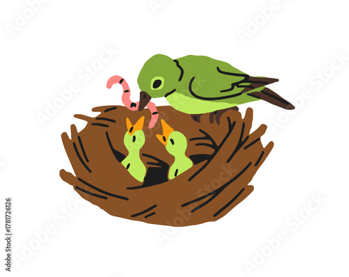 Mother bird cares about her chicks, feeds little nestlings with worm. Mom birdie brings food for her babies into nest. Family of wild animals. Flat isolated vector illustration on white background