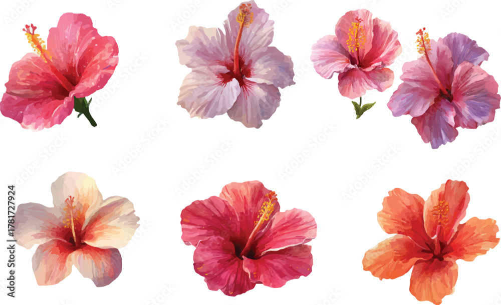 Fototapeta premium set of flowers isolated