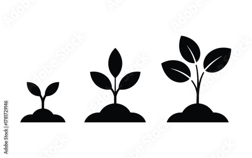 Plant growth stages